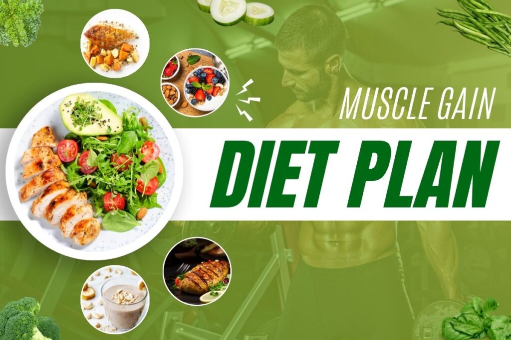 muscle gain diet plan 7 days
